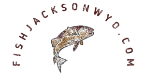 Fish Jackson Wyoming